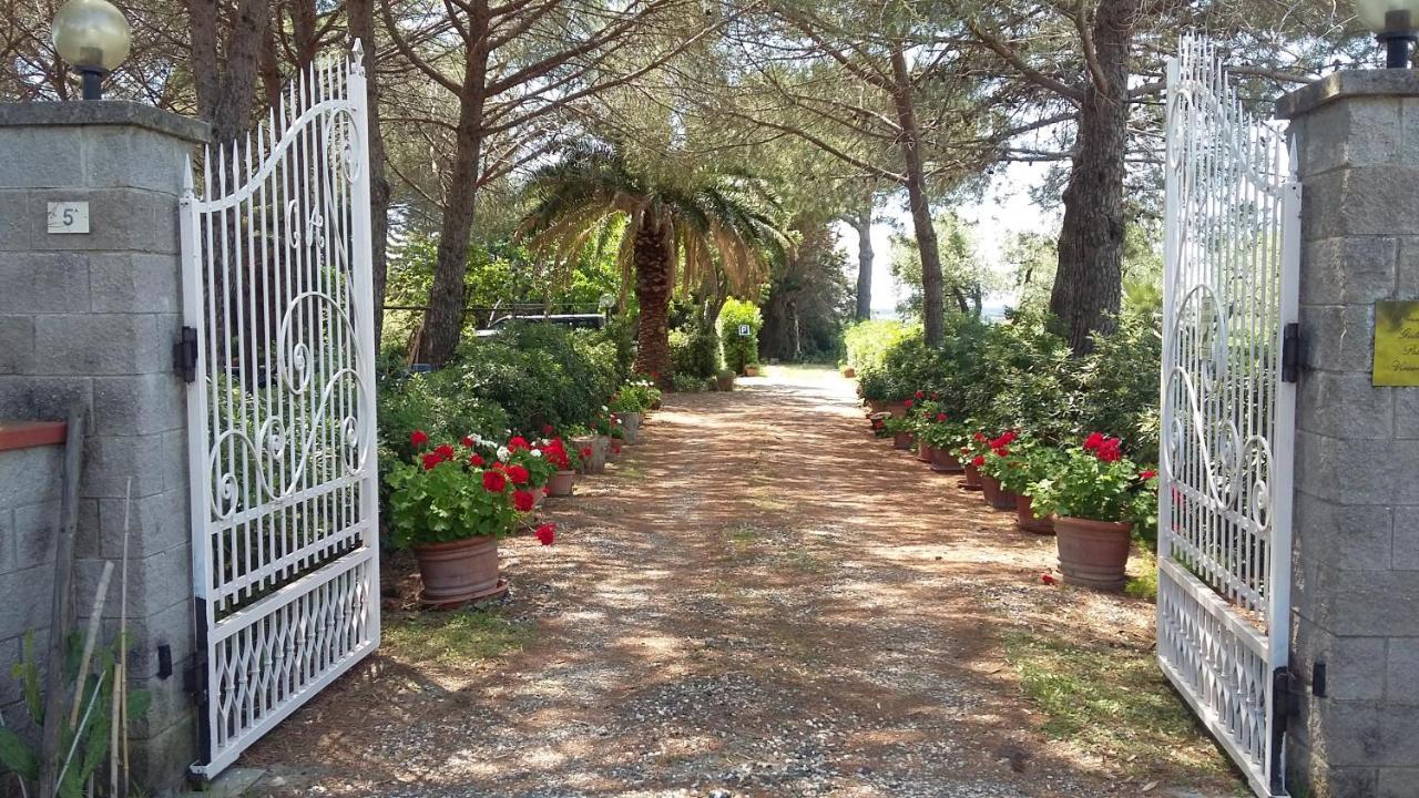 Campo Alle More Чечина Екстериор снимка