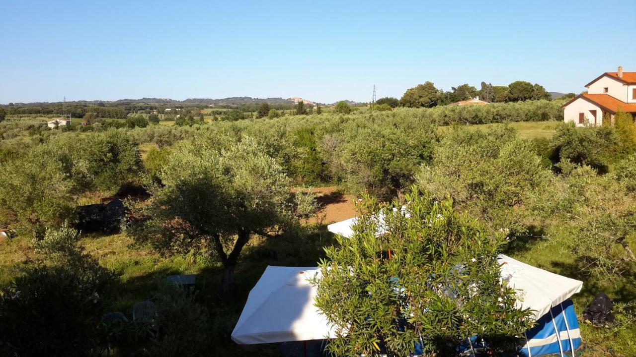 Campo Alle More Чечина Екстериор снимка
