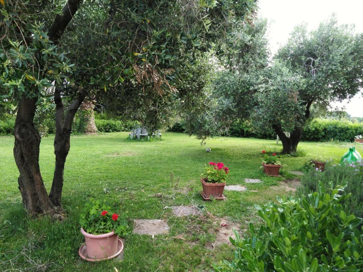 Campo Alle More Чечина Екстериор снимка
