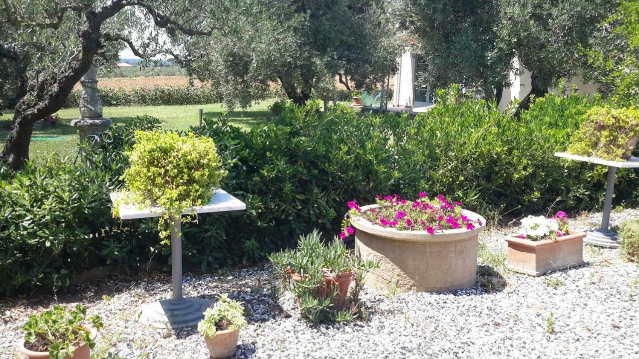 Campo Alle More Чечина Екстериор снимка