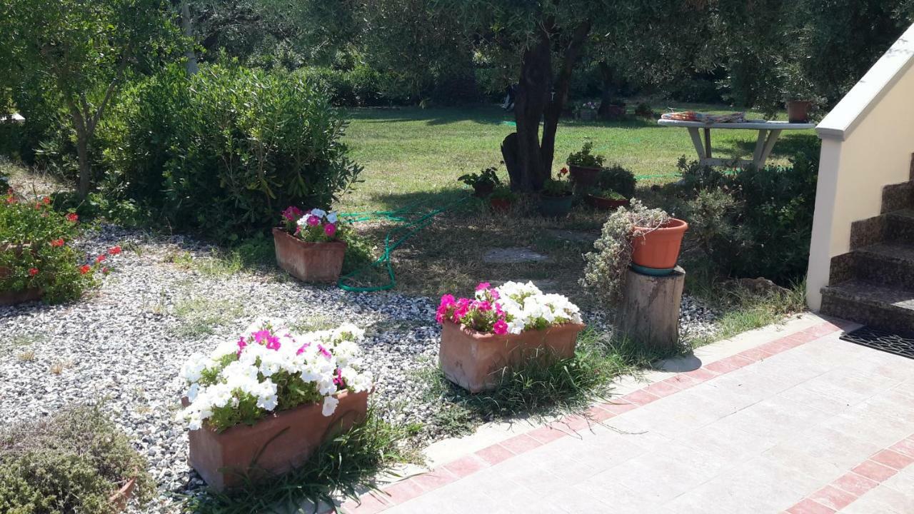 Campo Alle More Чечина Екстериор снимка