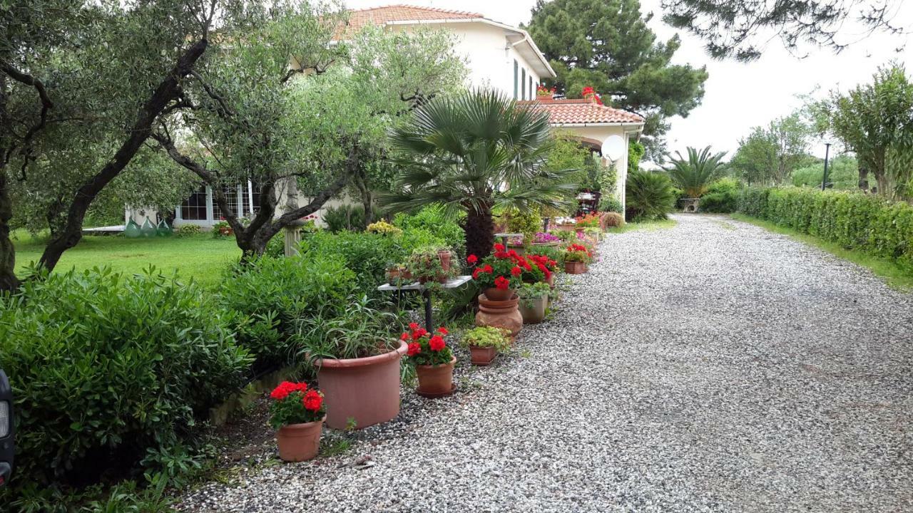 Campo Alle More Чечина Екстериор снимка